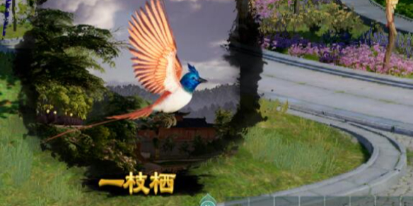 乌龟服战士职业防骑士装备的选择指南