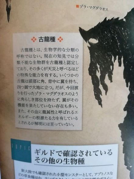 追云者编年史精灵位置分布全解析：精灵在哪里能找到？